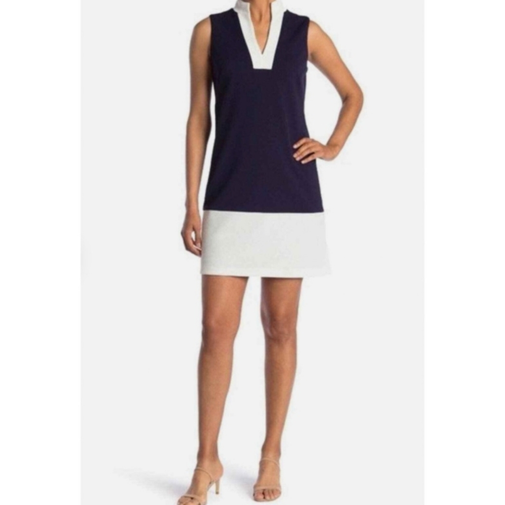 Sail To Sable Colorblock Sleeveless Shift Dress
